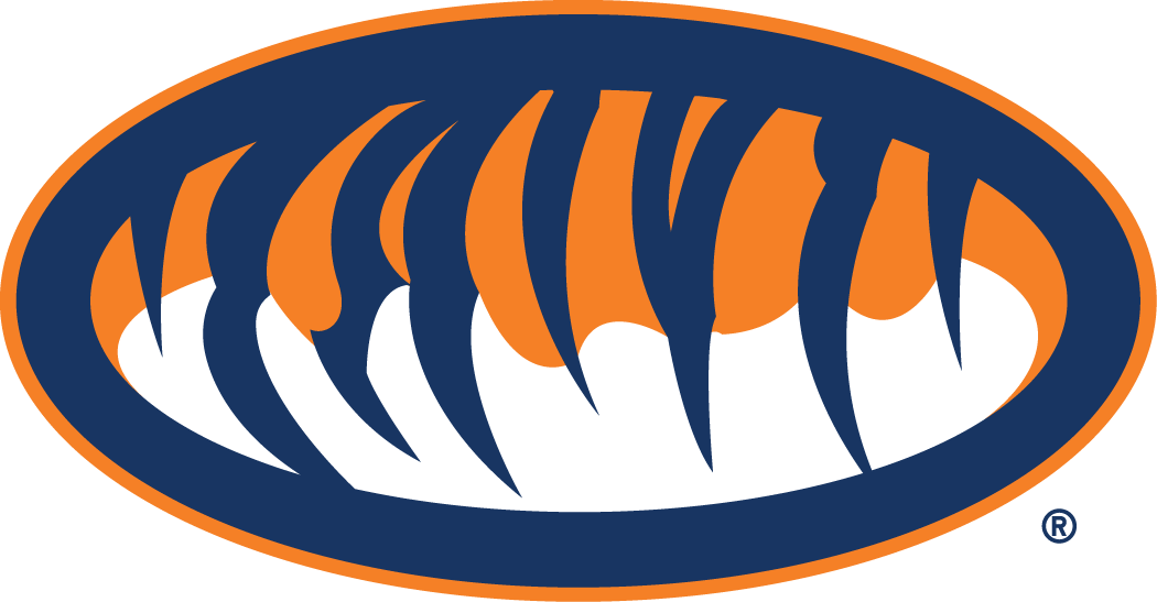 Auburn Tigers 1998-Pres Alternate Logo v2 iron on transfers for fabric